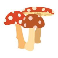 Autumn icon set. Fall leaves and mushrooms in grass. Nature symbol vector collection isolated on white background. Mushroom vector illustration collection.