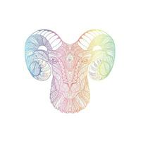 vector design, line illustration of sheep with spectrum color gradations