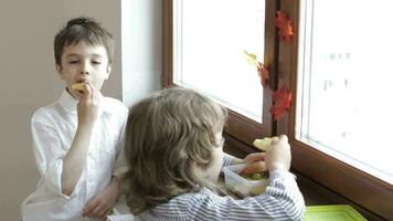 deux les enfants en mangeant pommes sur une fenêtre seuil video