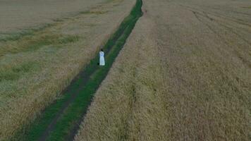 een antenne visie van een persoon wandelen door een veld- video