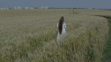 an aerial view of a person walking through a field video