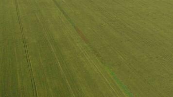 an aerial view of a field with green grass video