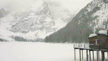 un' nevoso fiume con alberi e neve su il terra video