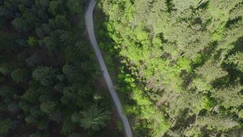 aéreo Visão do uma enrolamento estrada através uma floresta video