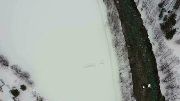 aéreo Visão do uma rio dentro a inverno video