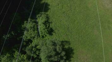 an aerial view of a power line and trees video