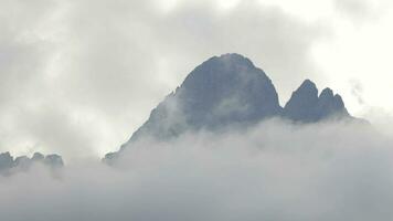 uma floresta e montanha coberto dentro névoa e árvores video