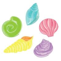 Mini set of seashells in imitation of watercolor vector