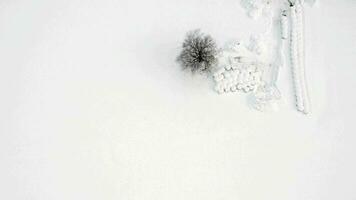 un solitario árbol es mostrado en el nieve video