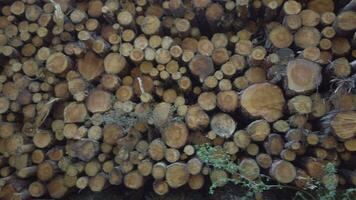 a pile of logs that are stacked up video