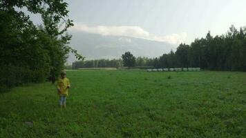 un' uomo in piedi nel un' campo con un' montagna nel il sfondo video