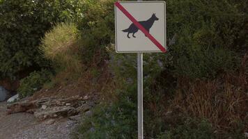 een Nee honden teken Aan de kant van de weg video