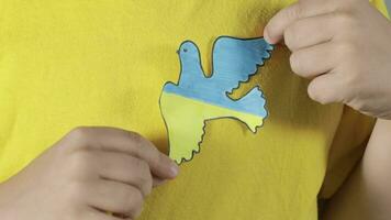 a boy holding a paper cutout of a bird with the ukraine flag video