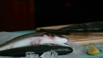 frisch Seebarsch ist Sitzung auf ein Schneiden Tafel mit ein Messer video