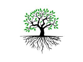 Trees and root with green leaves look beautiful and refreshing. Tree and roots LOGO style. vector