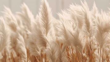 Generative AI, Pampa grass branch with sky. Abstract natural boho background of soft plants, Cortaderia selloana photo