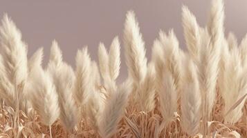 Generative AI, Pampa grass branch with sky. Abstract natural boho background of soft plants, Cortaderia selloana photo