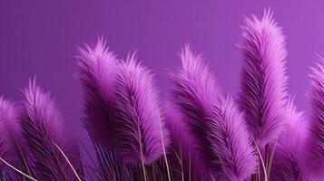 Generative AI, Pampa purple lavender color grass branch with sky. Abstract natural boho background of soft plants, Cortaderia selloana photo