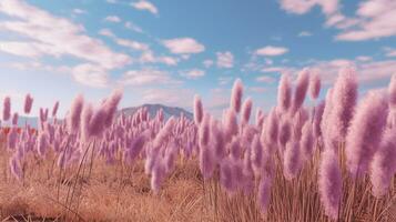 Generative AI, Pampa purple lavender color grass branch with sky. Abstract natural boho background of soft plants, Cortaderia selloana photo