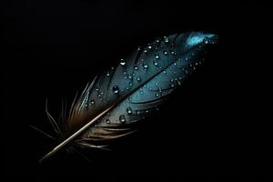 Feather of a bird with water drops on a black background. Beautiful feather with water drops on black background, closeup, AI Generated photo