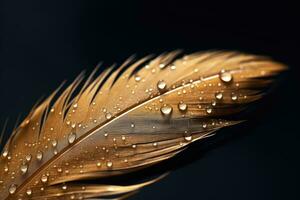 pluma de un pájaro con agua gotas en un negro antecedentes. macro, hermosa pluma con agua gotas en negro fondo, de cerca, ai generado foto