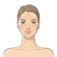Face massage lines. Facial massage instructions, vector illustration