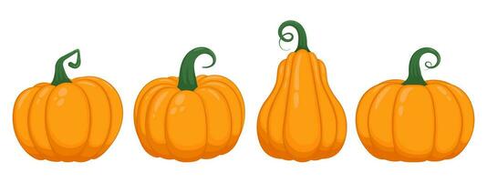 Set of cartoon pumpkin illustrations vector