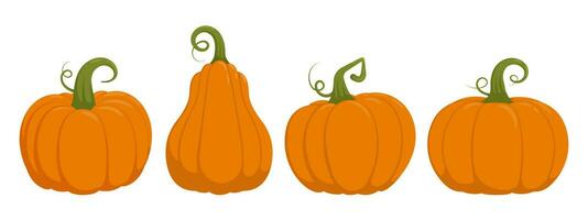 otoño cosecha dibujos animados calabaza ilustración conjunto vector