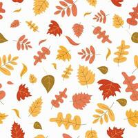 Autumn pattern, set of leaves, maple leaf, rowan leaf, oak leaf. Doodle, drawings, sketch. Autumn season. Contour vector illustration, seamless texture. Background white isolated background.