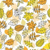 Autumn pattern, set of leaves, maple leaf, rowan leaf, oak leaf. Doodle, drawings, sketch. Autumn season. Contour vector illustration, seamless texture. Background .