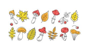 Autumn set leaves, mushrooms and berries. Fly agaric, rowan branch, maple leaf, doodle, drawings, sketch. Black and white vector illustration on color spots. Background white isolated.