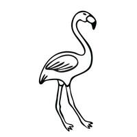 Flamingos are tropical birds. vector illustration. Doodle style isolated on a white background.