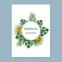 vector pancartas con verde tropical hojas. exótico botánico adecuado para carteles, saludo tarjetas, pancartas, o invitación