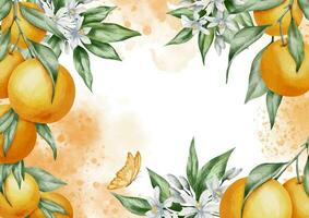 Orange rectangular Frame with citrus fruits. Hand drawn watercolor illustration with branches of tangerines, leaves and flowers. Template for greeting cards or wedding invitations in tropical style vector