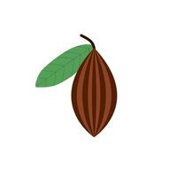 cacao frijoles plano diseño vector ilustración