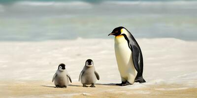 papá o mamá y bebé pingüinos padre amar, enlace y paternidad concepto. foto