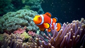 Nemo fish among coral reefs. Marine  environment. AI generated photo