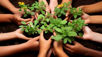 Hands holding plants growing out of soil. World plant day, environment day concept. AI generated photo