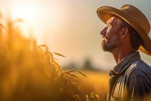 a farmer is cultivating their land photo