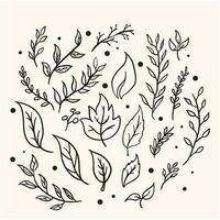 leave doodle sketch vector ink background cream