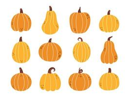 Vector cute pumpkin set. Thanksgiving day decorative design. Collection of yellow and orange pumpkins in flat design. Autumn vegetables. Fall pumpkin harvest.