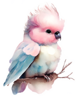 Watercolor Cockatoo Bird AI Generative png