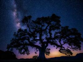 a majestic tree silhouetted against a backdrop of the vast night sky filled with stars ai generated photo