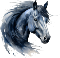Black horse portrait isolated on transparent background. Watercolour illustration. png