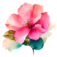 Pink Watercolor Hibiscus Flower AI Generative png