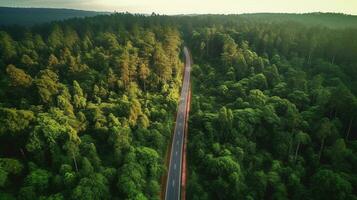 generativo ai, aéreo ver de la carretera Entre verde bosque, verde paisaje foto