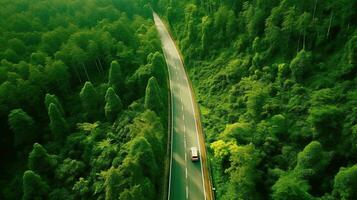 generativo ai, aéreo ver de la carretera Entre verde bosque, verde paisaje foto