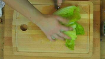 Woman Chopping Lettuce at Wooden Kitchen Table video