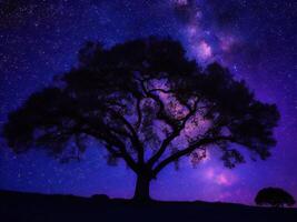 un majestuoso árbol silueta en contra un fondo de el vasto noche cielo lleno con estrellas ai generado foto