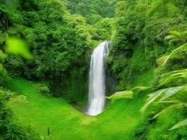a waterfall in the jungle surrounded by lush green vegetation ai generated photo